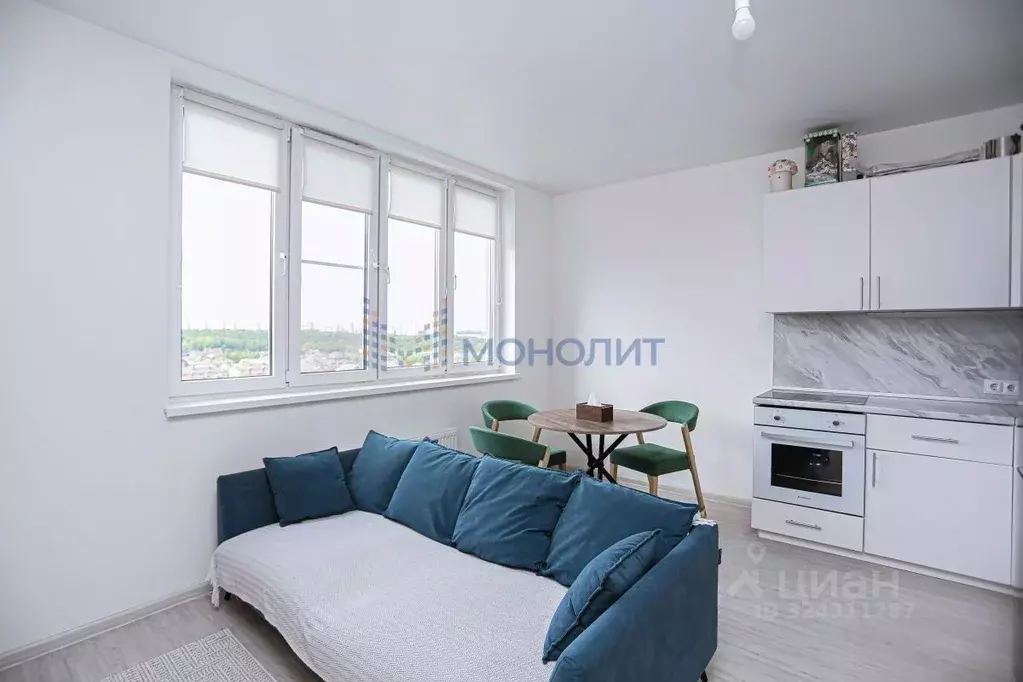 1-к кв. Нижегородская область, Нижний Новгород д. Анкудиновка, ул. ... - Фото 2