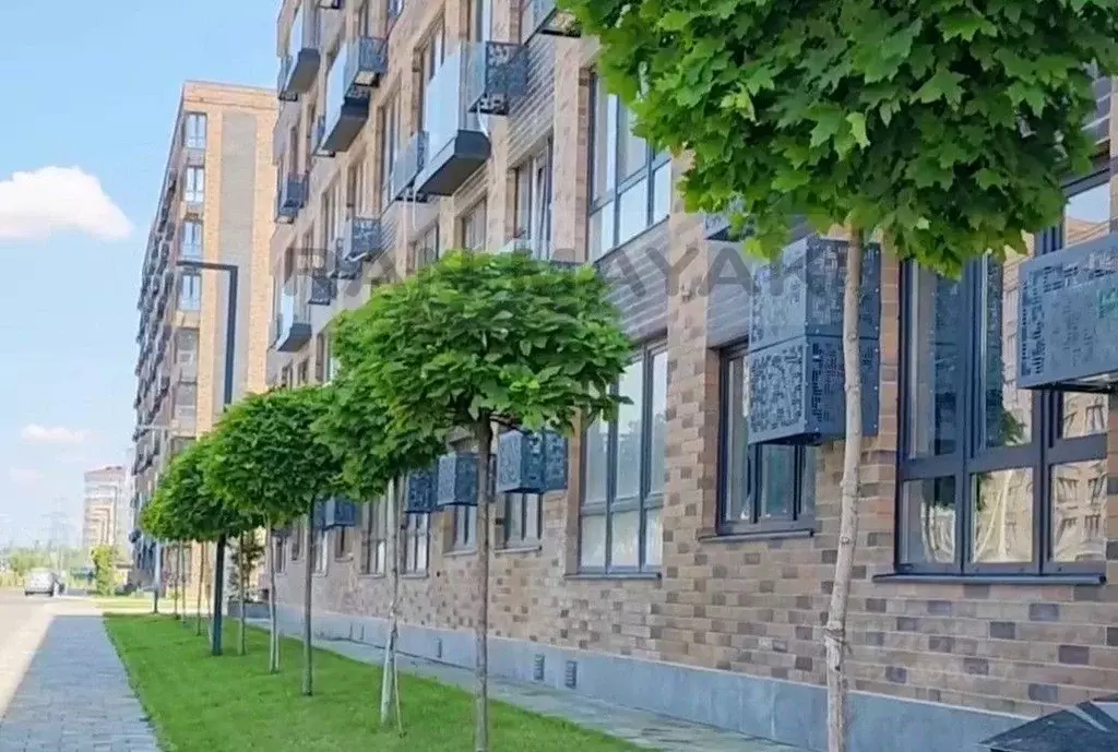 Торговая площадь в Адыгея, Майкоп ул. К.А. Васильева, 2к4 (41 м) - Фото 0