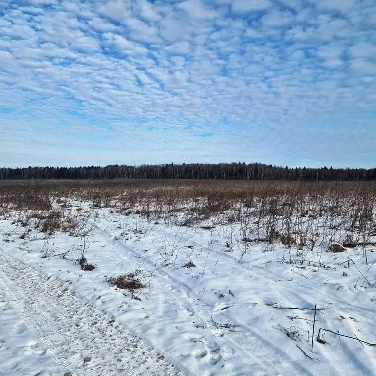 Участок в Калужская область, Совхоз Боровский с/пос, д. Сороковеть  ... - Фото 2