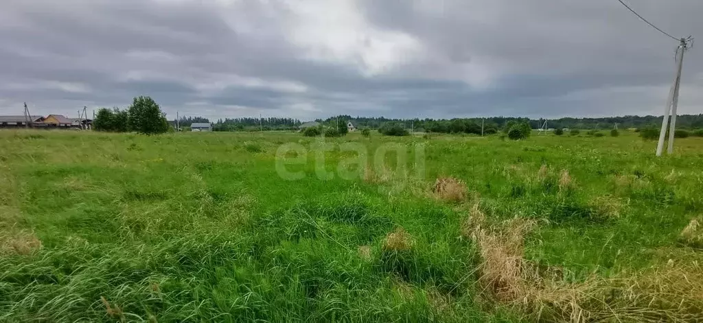 Участок в Вологодская область, Шекснинский муниципальный округ, д. ... - Фото 0