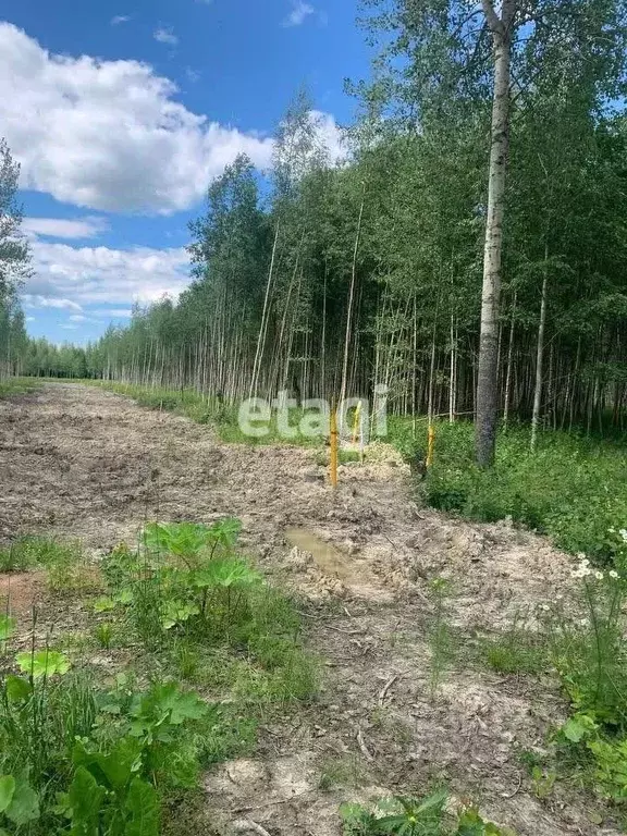 Участок в Санкт-Петербург, Санкт-Петербург, Павловск Павлов Скай кп,  ... - Фото 1