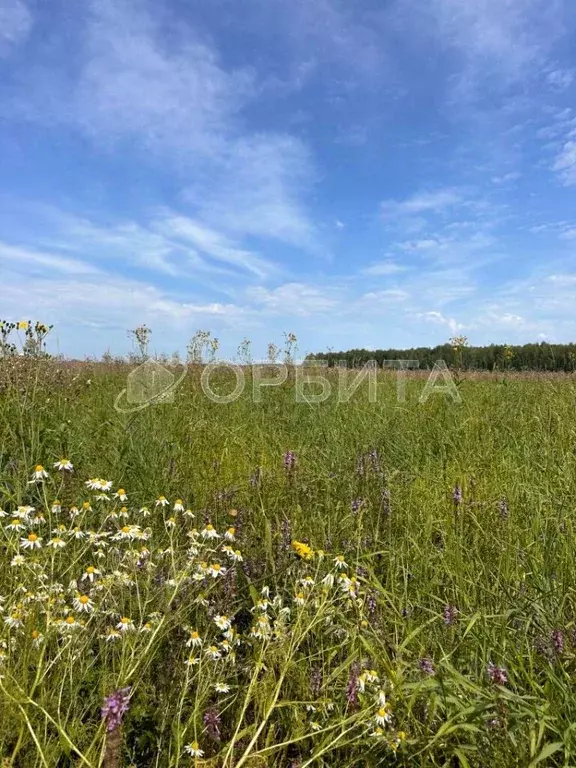Участок в Тюменская область, Тюменский район, с. Кулига  (6.0 сот.) - Фото 1
