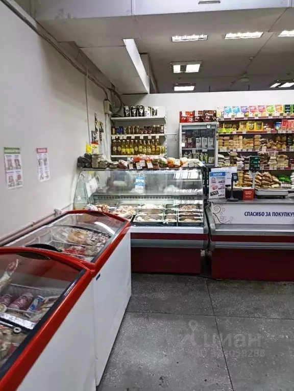 Торговая площадь в Иркутская область, Зима Коммунальный пер., 4 (35 м) - Фото 2
