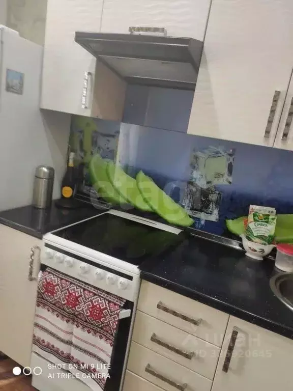 2-к кв. Амурская область, Свободный Комсомольская ул., 38 (48.4 м) - Фото 1