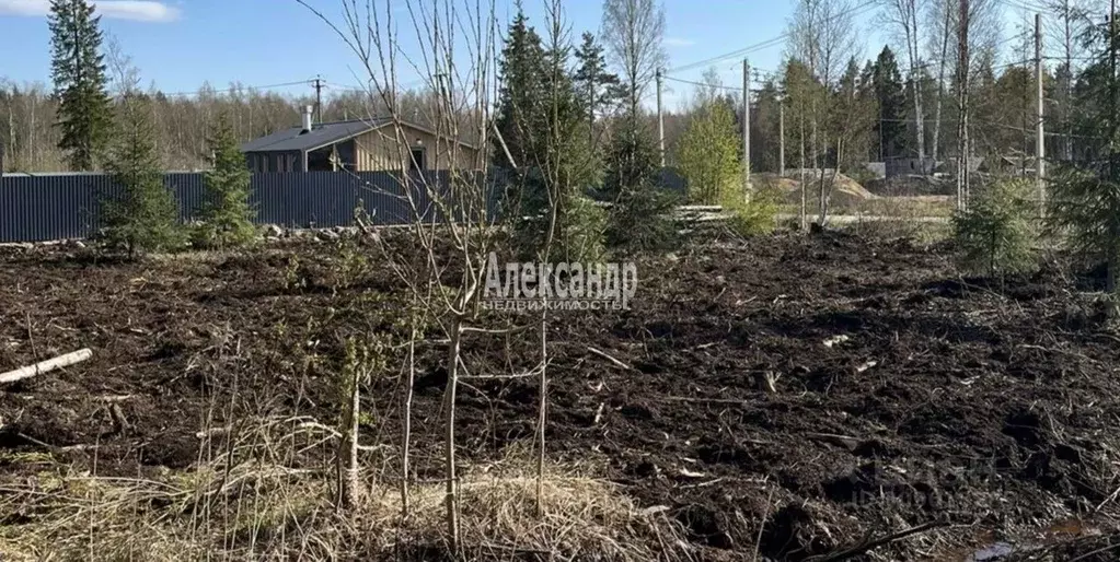 Участок в Ленинградская область, Всеволожский район, Сертоловское ... - Фото 0