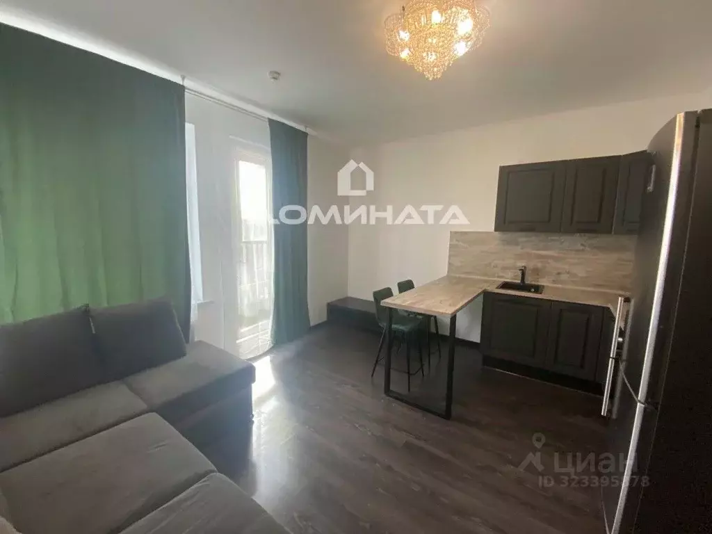 Студия Санкт-Петербург аллея Арцеуловская, 19 (25.0 м) - Фото 1