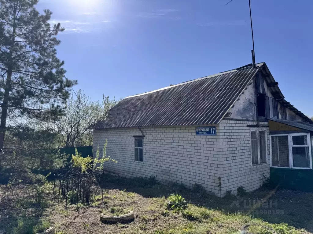 Дом в Саратовская область, д. Трещиха ул. Центральная, 17 (80 м) - Фото 1