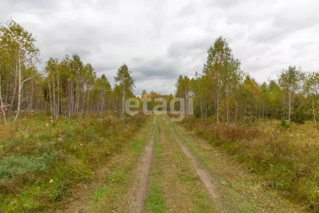 Участок в Тюменская область, Нижнетавдинский муниципальный округ, д. ... - Фото 1