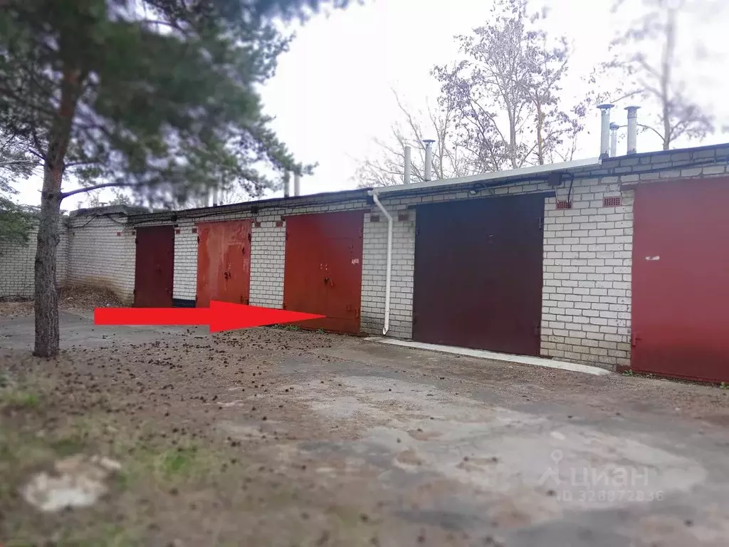 Гараж в Орловская область, Орел ул. Тургенева, 41А (27 м) - Фото 1