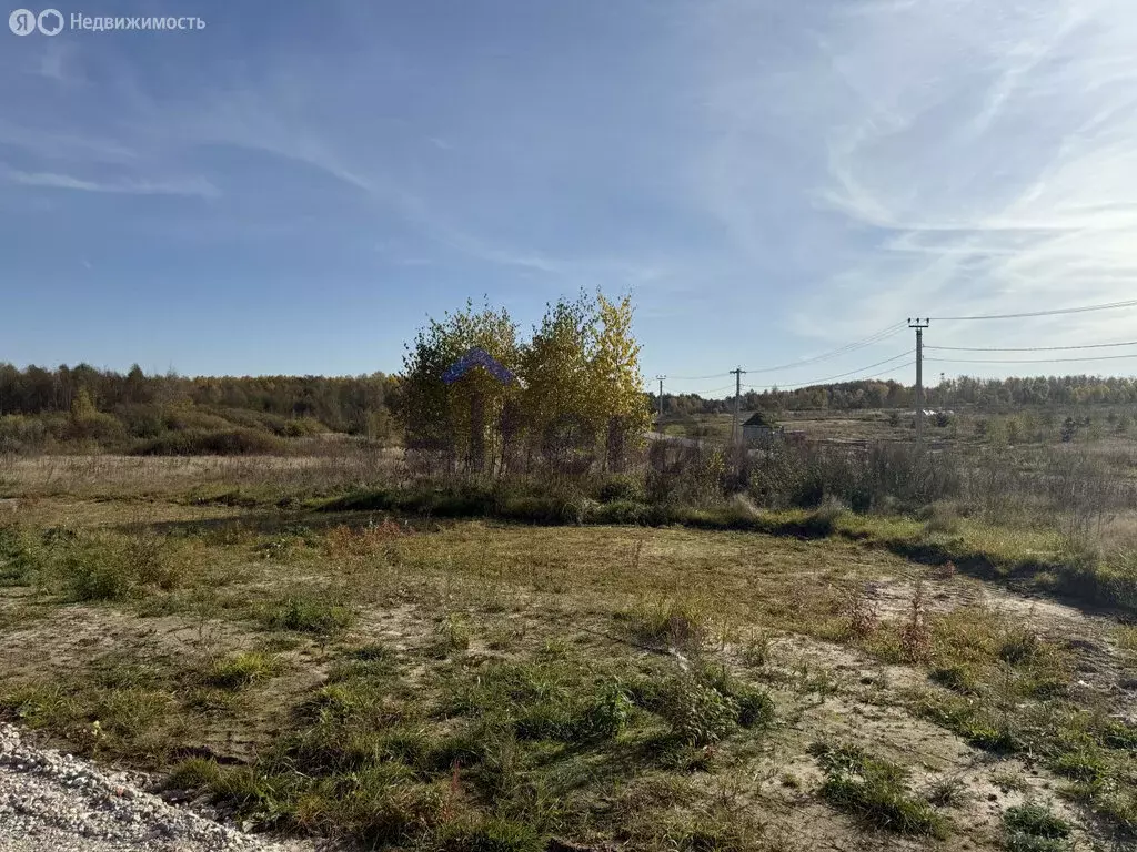 Участок в Айшинское сельское поселение, посёлок Нарат (9.53 м) - Фото 1