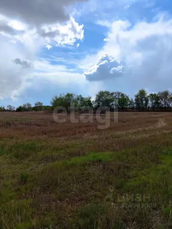Участок в Воронежская область, Рамонский район, с. Ямное  (9.46 сот.) - Фото 1