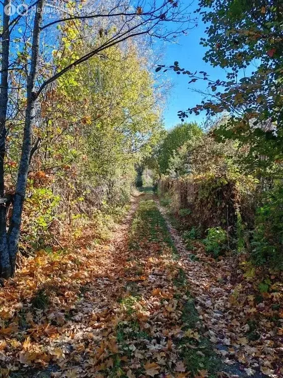 Участок в Саранск, СТ Дорожник (5.6 м) - Фото 1