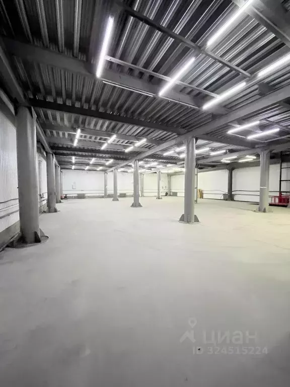 Склад в Алтайский край, Барнаул ул. Попова, 179Б (1207 м) - Фото 2