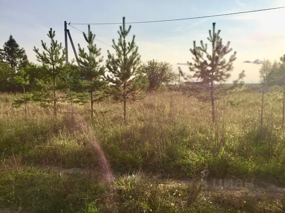 Участок в Ярославская область, Переславль-Залесский городской округ, ... - Фото 1