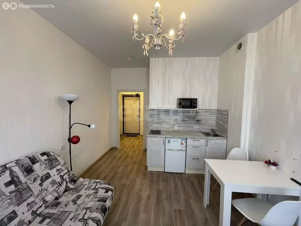 Квартира-студия: Новосибирск, улица Сакко и Ванцетти, 77 (23.5 м) - Фото 1
