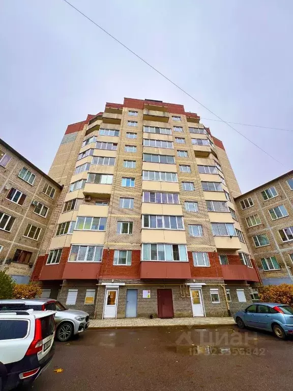 Студия Санкт-Петербург, Санкт-Петербург, Сестрорецк ул. Борисова, 10 ... - Фото 2