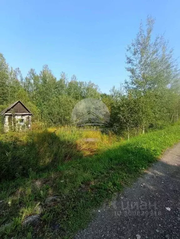 Участок в Новгородская область, Новгородский район, Панковское ... - Фото 0