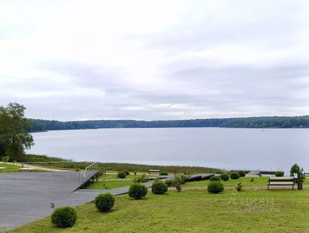 Участок в Московская область, Волоколамский муниципальный округ, Рузза ... - Фото 2