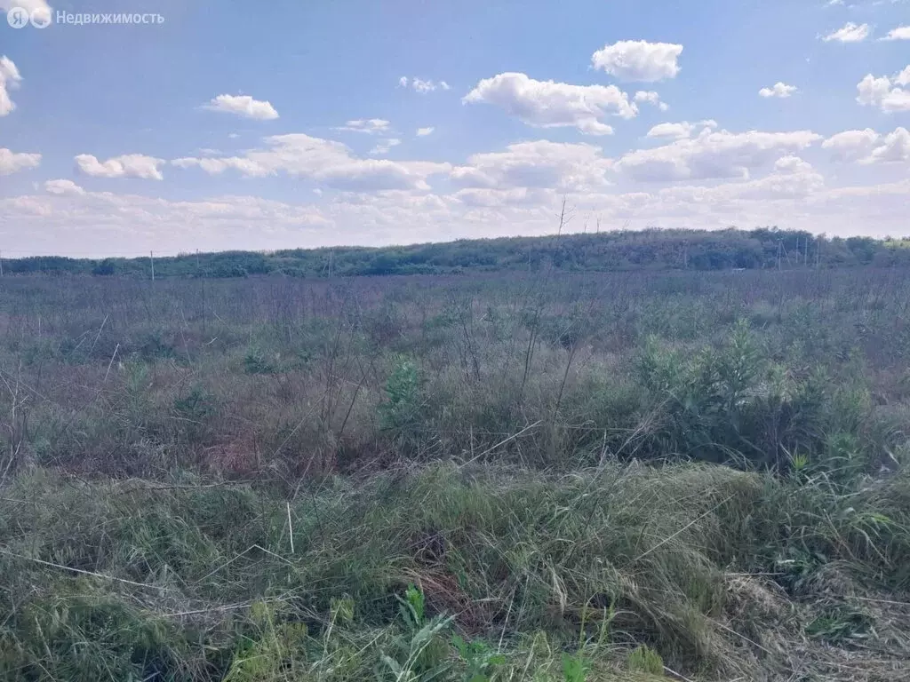 Участок в станица Грушевская, Лядовский переулок (6 м) - Фото 0