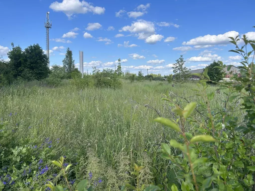 Участок в Нижегородская область, Богородский муниципальный округ, д. ... - Фото 0