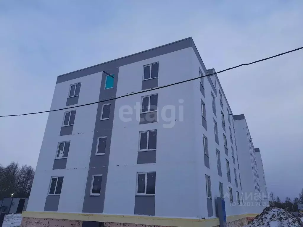 3-к кв. Псковская область, Остров ул. Калинина, 76 (67.3 м) - Фото 1