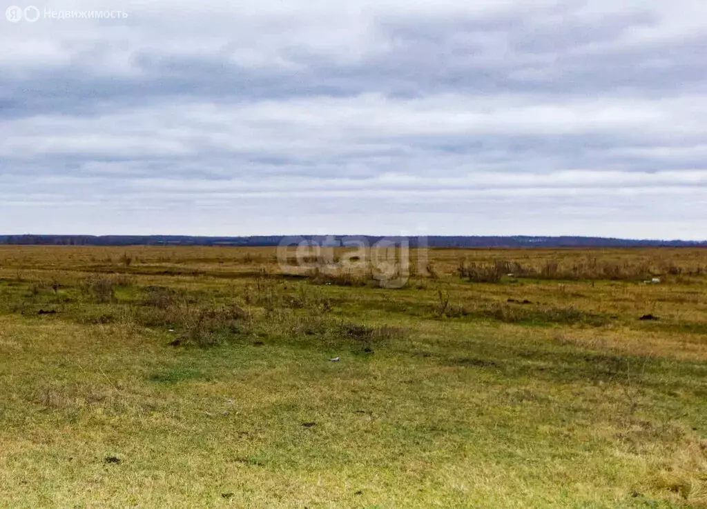 Участок в Тюменская область, Заводоуковский муниципальный округ, село ... - Фото 1