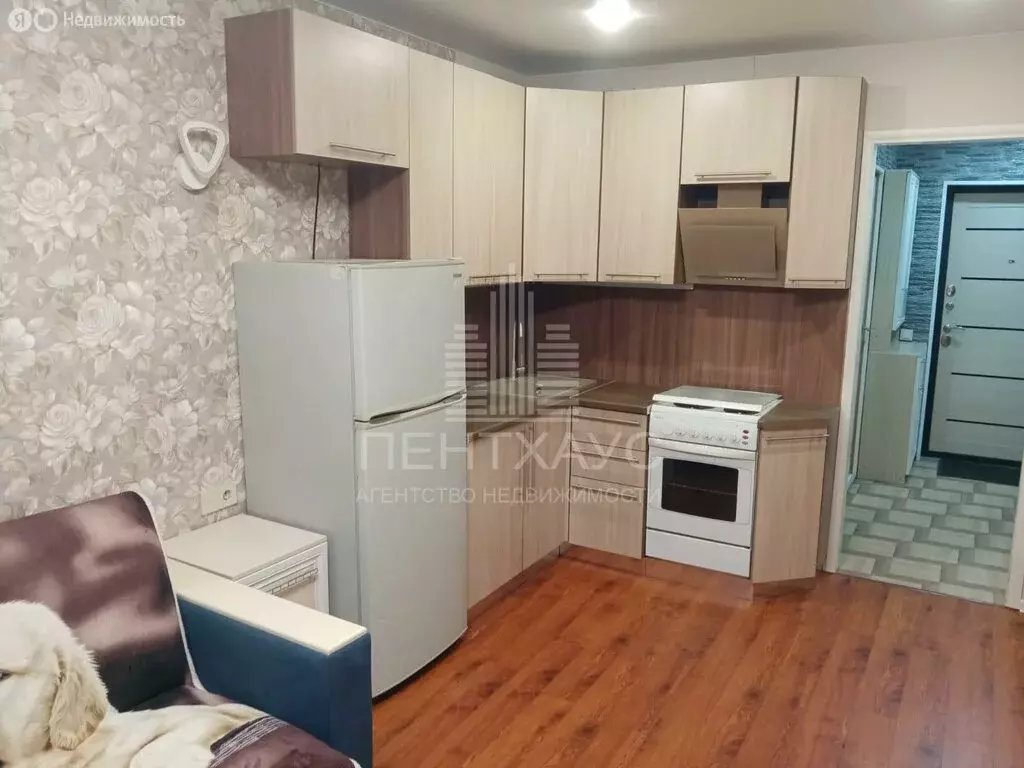 Квартира-студия: Владимир, улица Нижняя Дуброва, 47к3 (22.6 м) - Фото 0