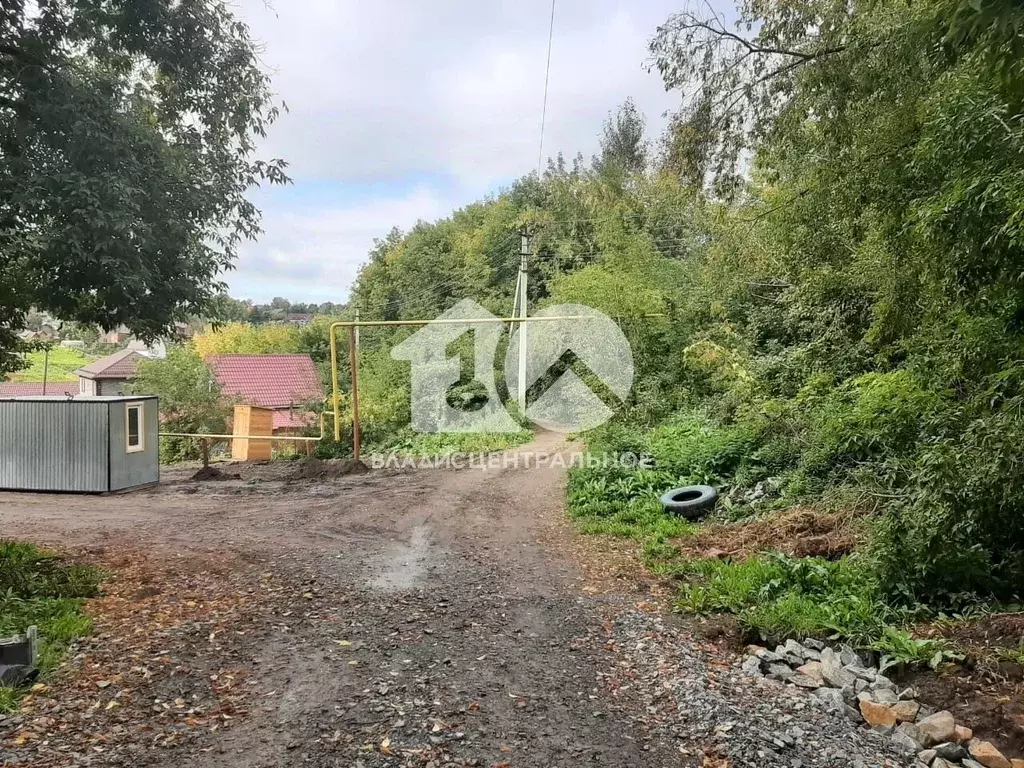 Участок в Новосибирская область, Новосибирский район, с. Раздольное  ... - Фото 0
