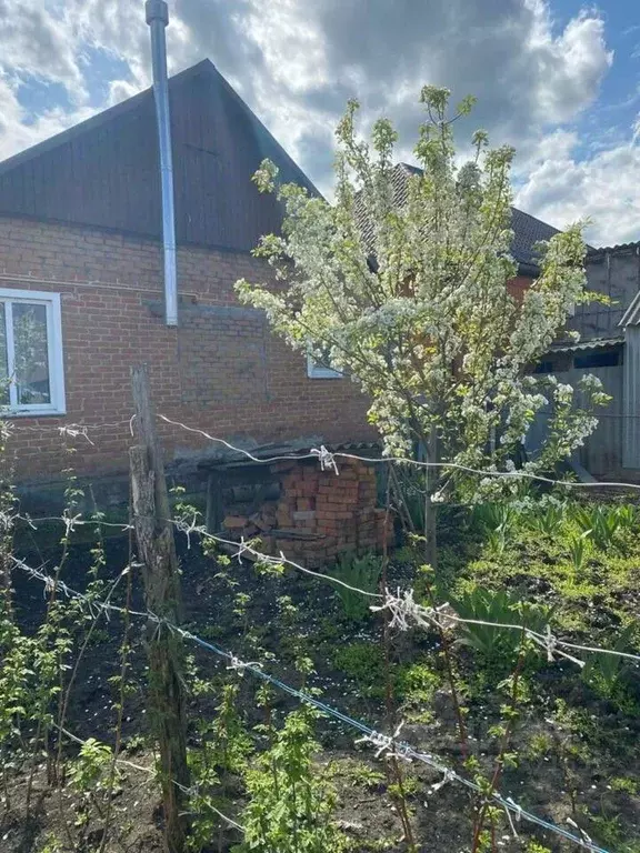 Дом в Краснодарский край, Динской район, Новотитаровское с/пос, Карла ... - Фото 2