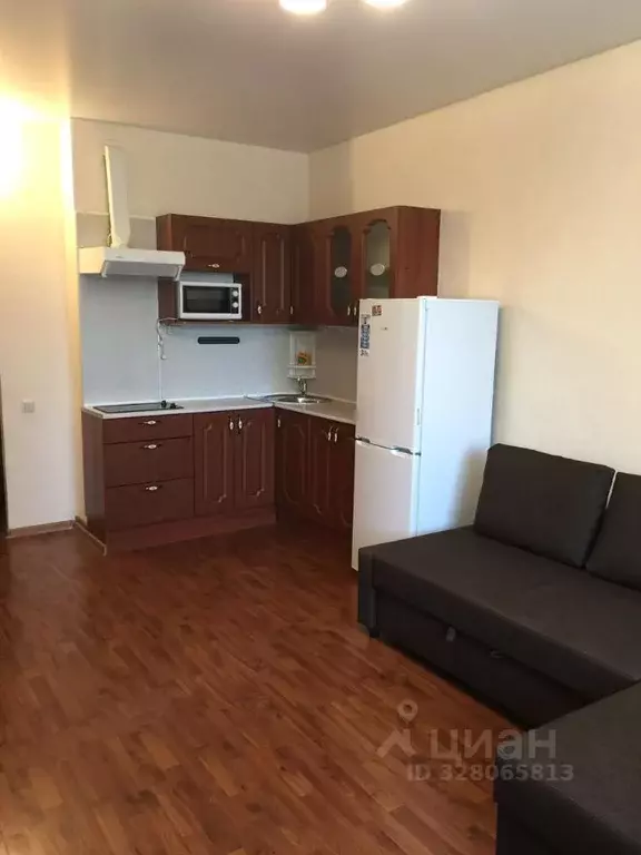 Студия Санкт-Петербург ул. Орджоникидзе, 59к2 (28.2 м) - Фото 1