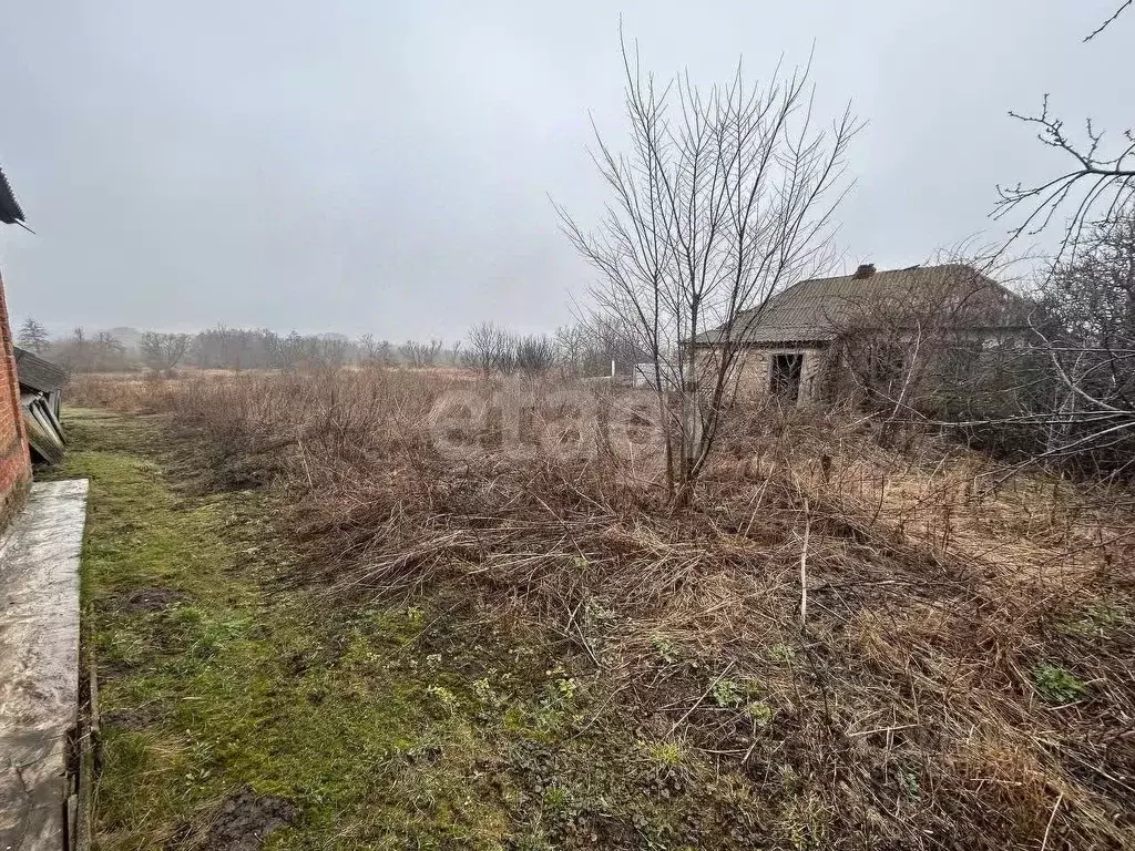 Участок в Белгородская область, Яковлевский муниципальный округ, с. ... - Фото 1