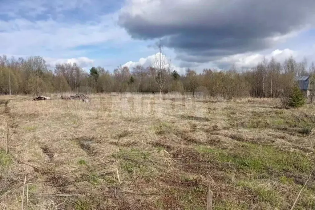 Участок в Вологодская область, Сокольский муниципальный округ, ... - Фото 1