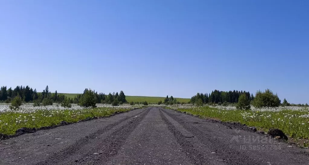 Участок в Удмуртия, Завьяловский район, д. Красный Кустарь  (9.38 ... - Фото 0