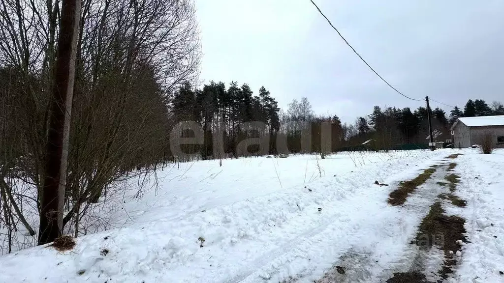 Участок в Ленинградская область, Приозерский район, Раздольевское ... - Фото 1