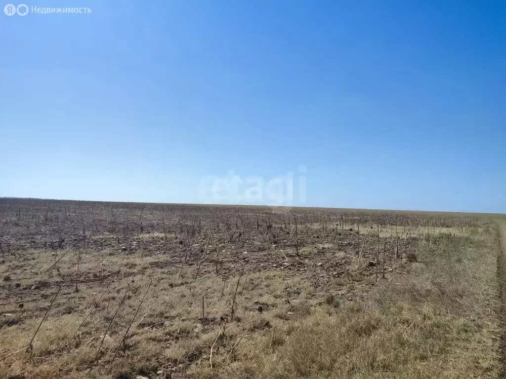 Участок в Сакский район, Штормовское сельское поселение, село ... - Фото 0