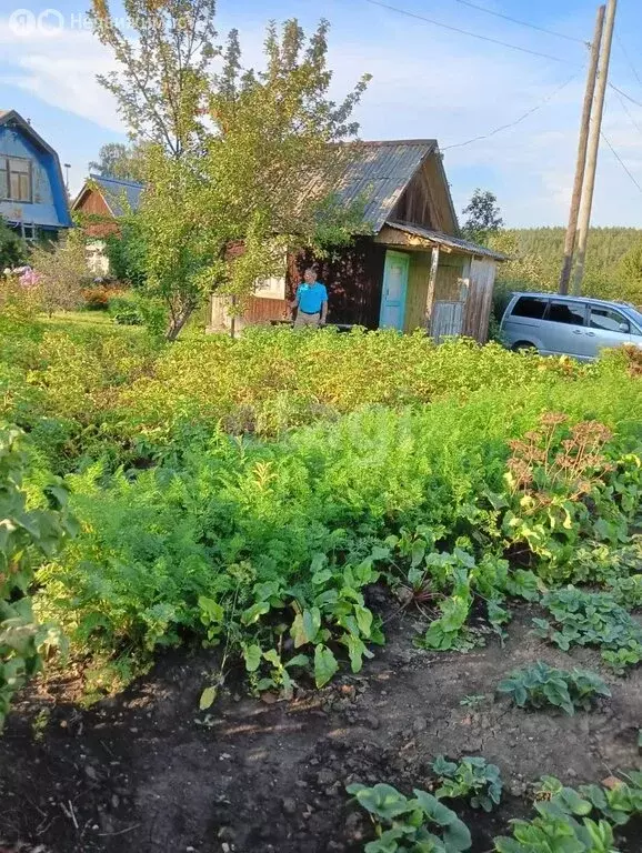 Участок в Алапаевск, коллективный сад № 2 АУЖД (4 м) - Фото 1