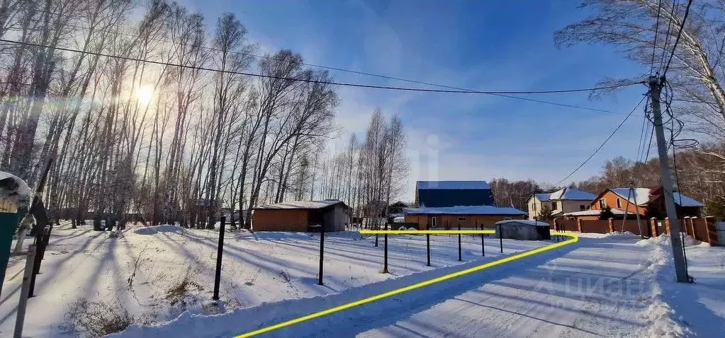 Участок в Новосибирская область, Новосибирский район, Криводановский ... - Фото 1