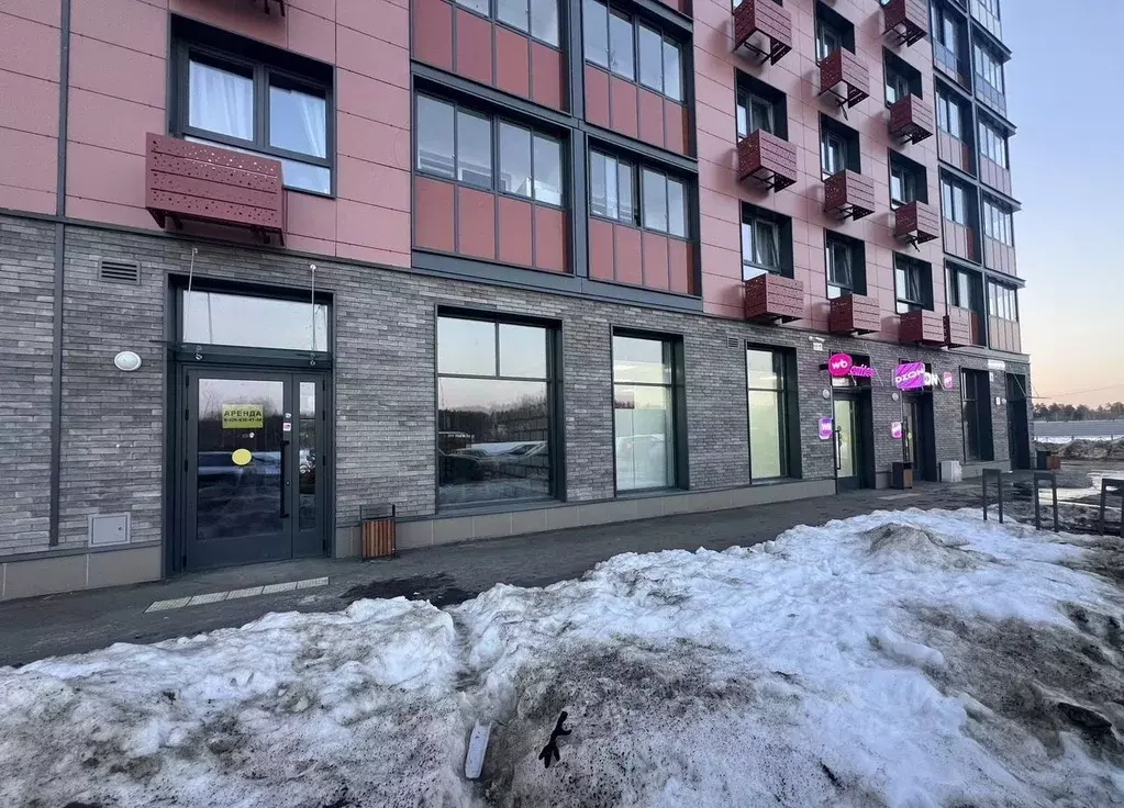 Помещение свободного назначения в Московская область, Пушкино ул. ... - Фото 1