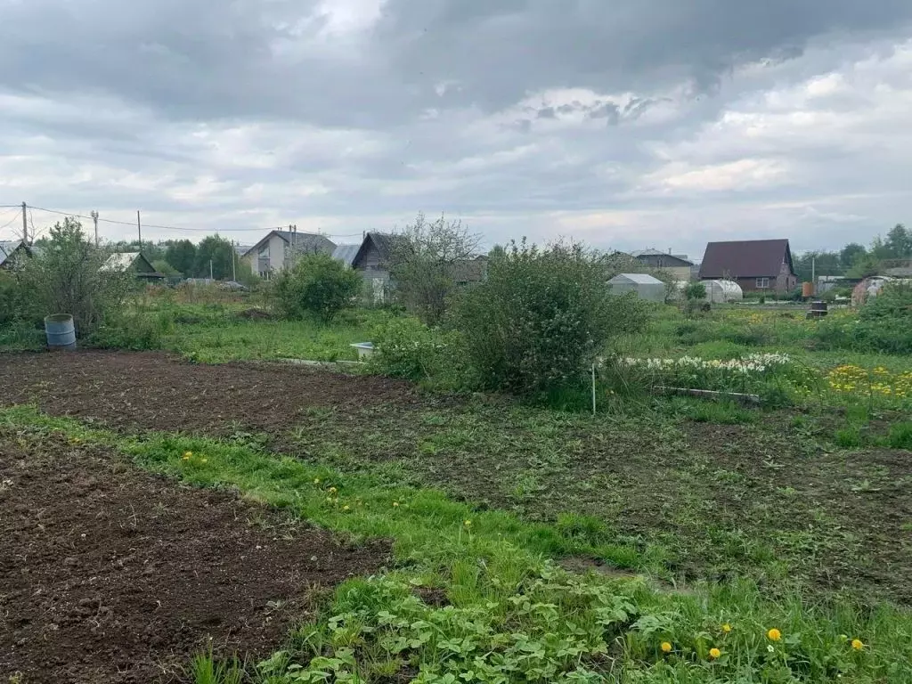 Купить Участок Костромская Область