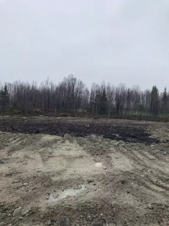 Участок в Мурманская область, Кольский район, Город Кола городское ... - Фото 2