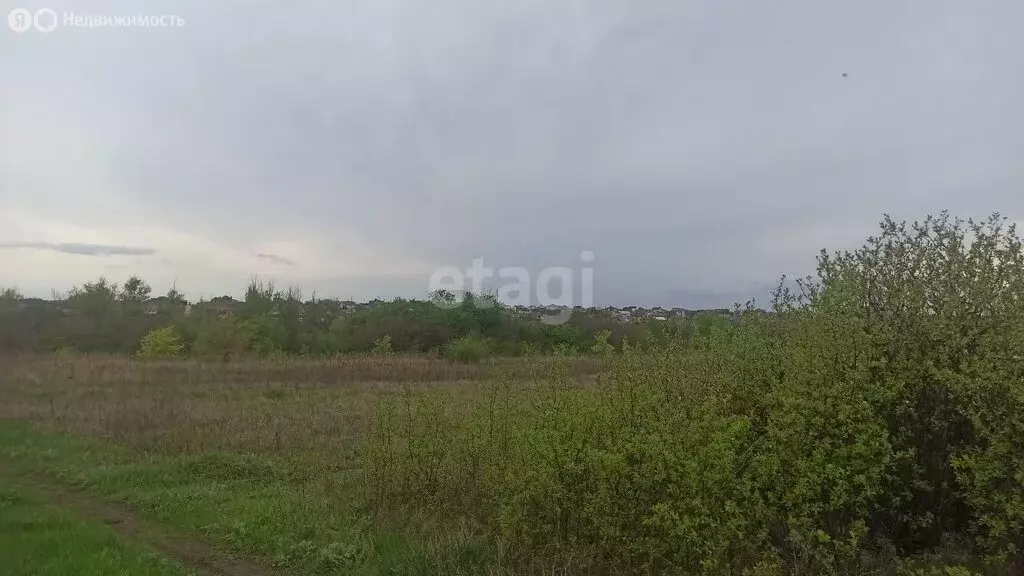 Участок в Ериковское сельское поселение, садоводческое товарищество ... - Фото 0