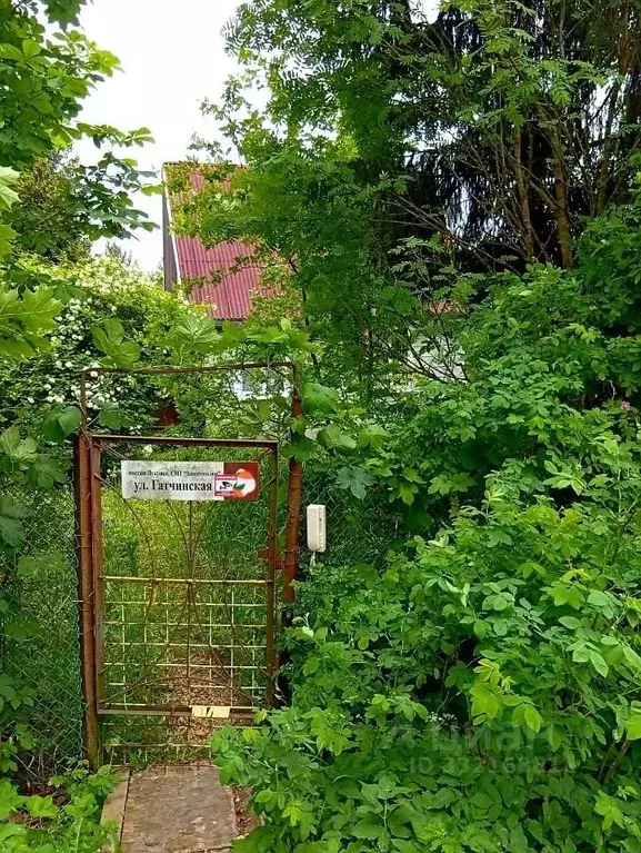 Участок в Ленинградская область, Гатчинский муниципальный округ, пос. ... - Фото 1