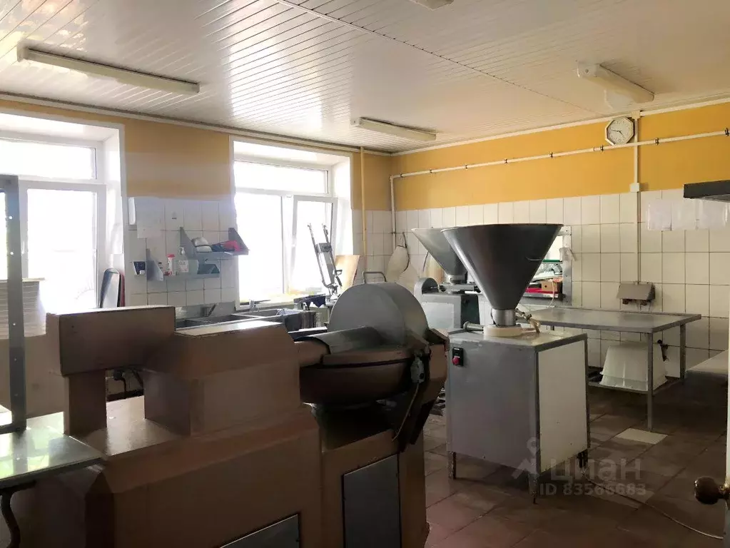 Производственное помещение в Смоленская область, Смоленск ул. . - Фото 0