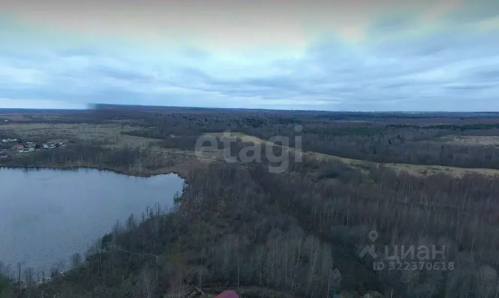 Участок в Вологодская область, Череповецкий район, Югское ... - Фото 1