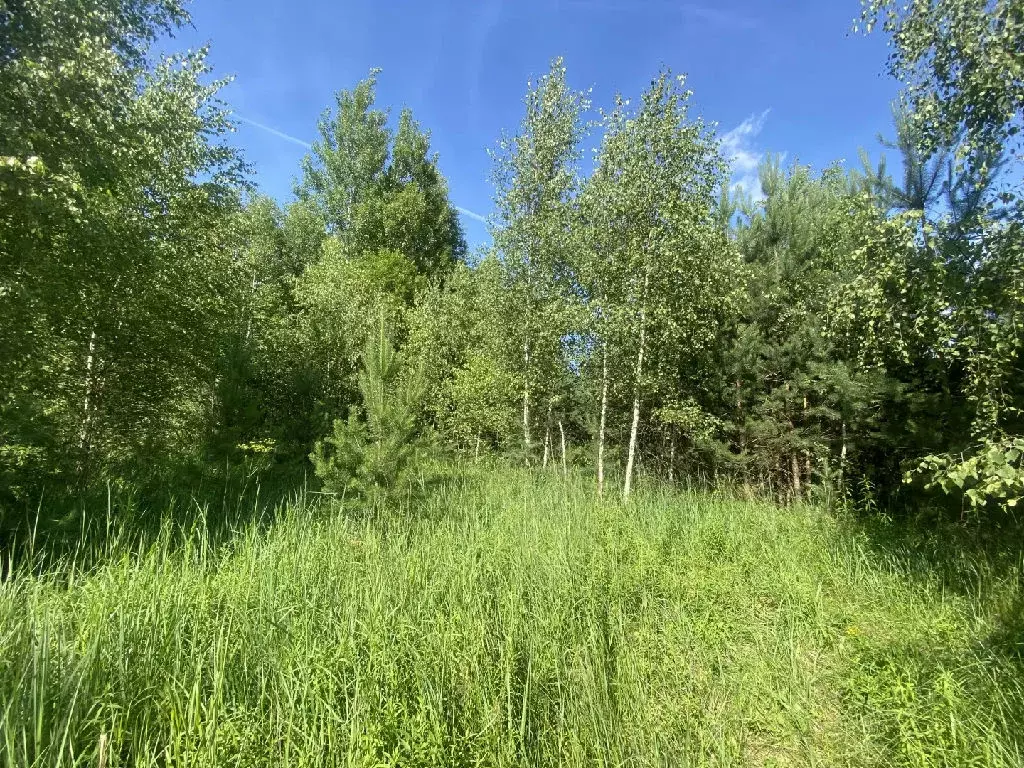 Продается участок в д. Старково - Фото 2