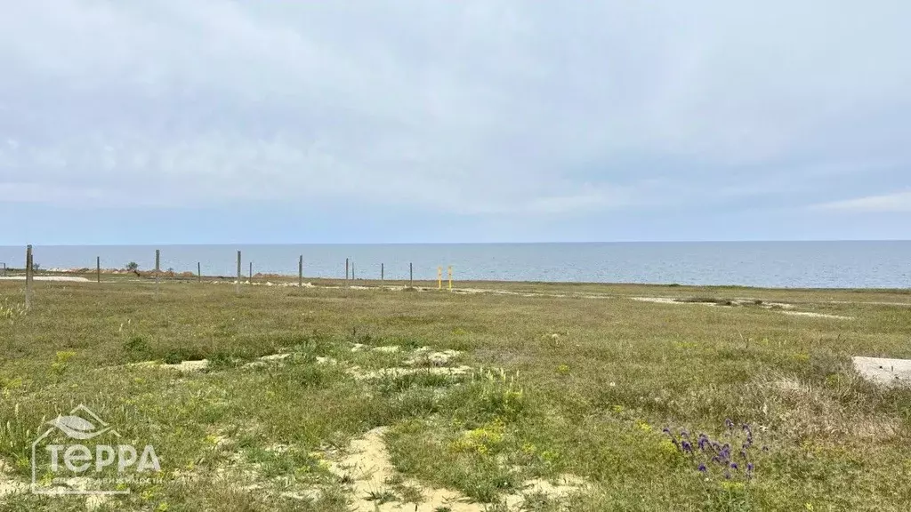 Участок в Крым, Черноморский район, с. Межводное ул. Морская, 83 (9.0 ... - Фото 0