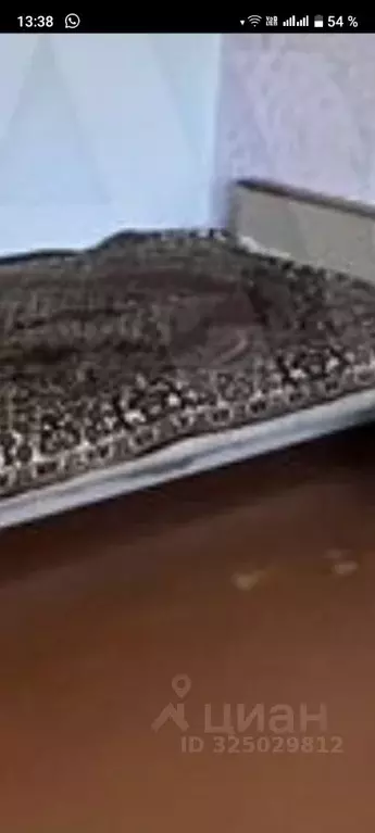 1-к кв. Алтайский край, Барнаул ул. Попова, 63 (35.0 м) - Фото 2