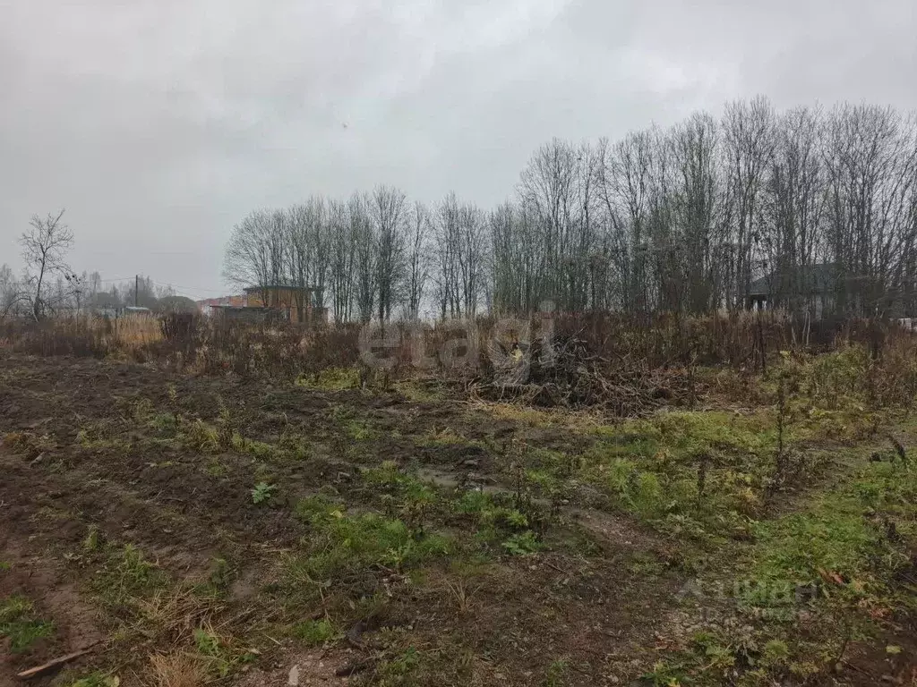 Участок в Ленинградская область, Киришский район, Глажевское с/пос, ... - Фото 1