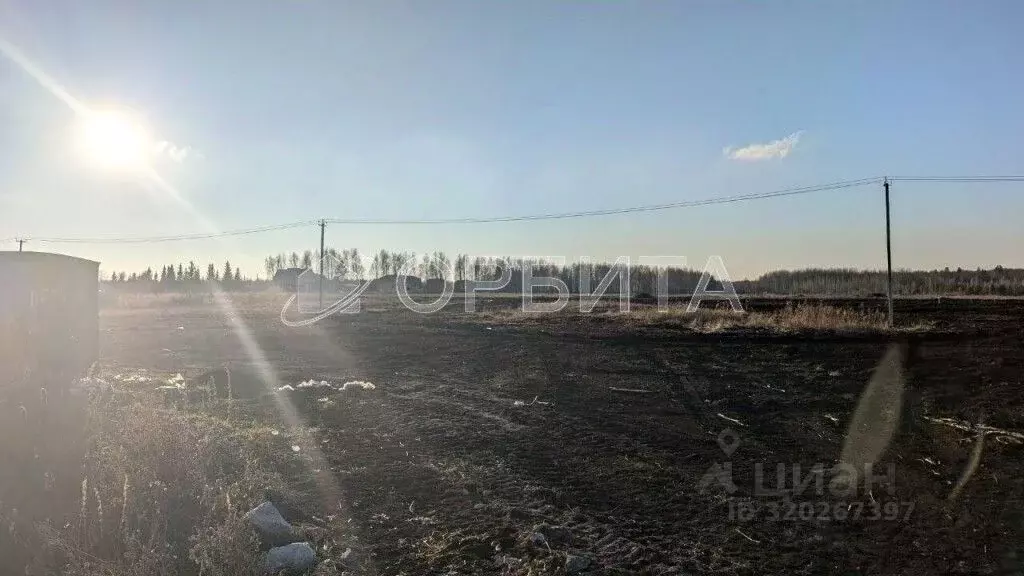Участок в Тюменская область, Нижнетавдинский район, Царицыно СНТ  (9.5 ... - Фото 0