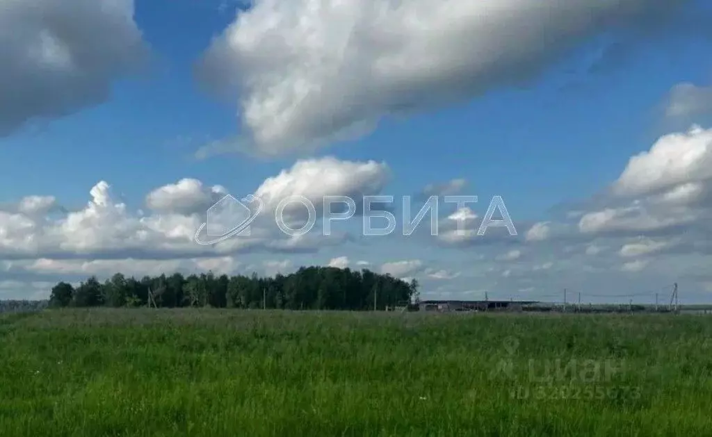 Участок в Свердловская область, Тугулым пгт ул. Весенняя (12.5 сот.) - Фото 1